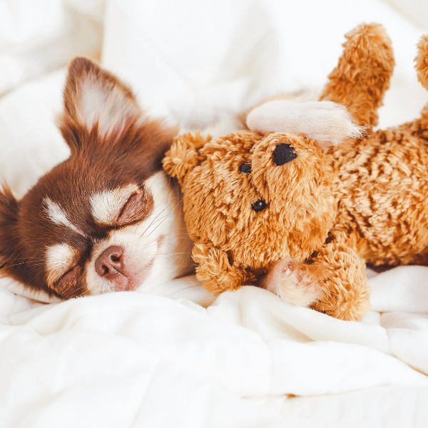 Get-enough-sleep