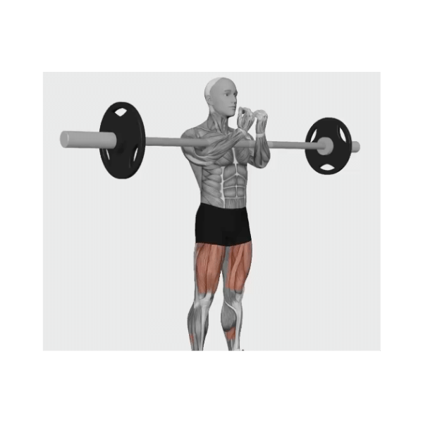 Barbell Zercher squat instructions BP Training and Coaching