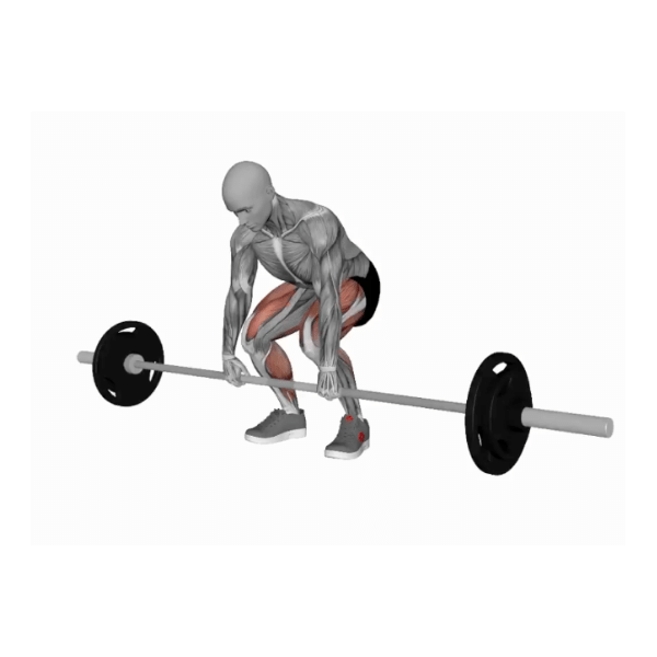 Barbell Deadlift Instructions - Bp Training And Coaching