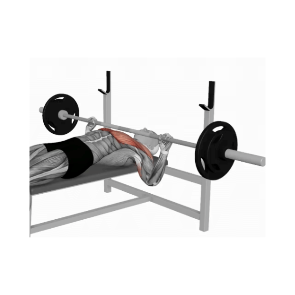 Barbell bench press instructions BP Training and Coaching