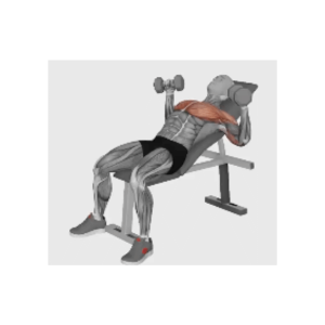 dumbbell incline bench press
