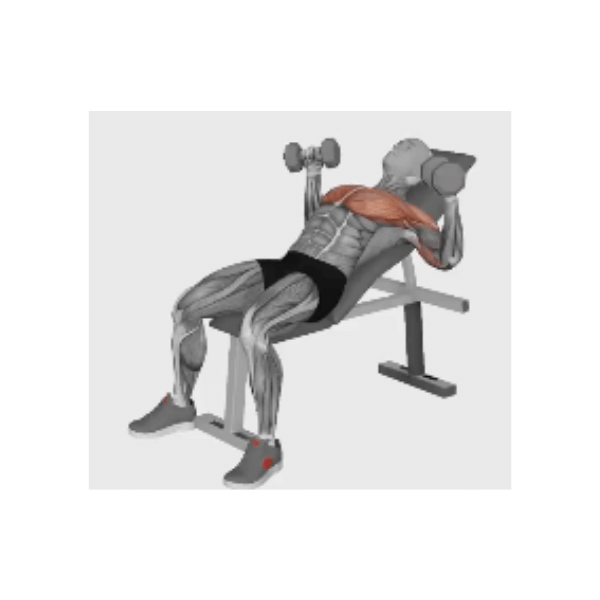 Dumbbell Incline Bench Press Instructions Bp Training And Coaching