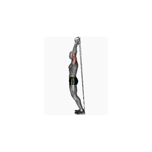 Resistance band overhead tricep extension