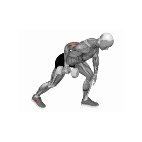 Dumbbell triceps kickback instructions BP Training and Coaching