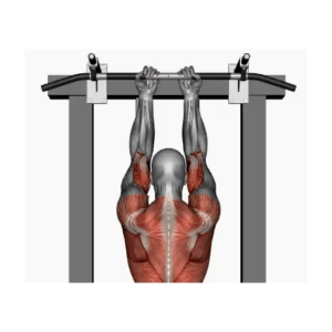 Assisted chin-up reverse close grip