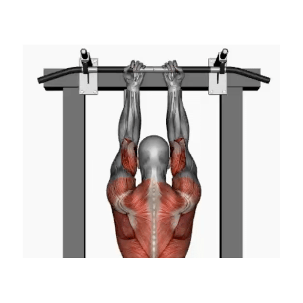 Assisted chin up reverse close grip instructions BP Training and Coaching Assisted chin up reverse close grip instructions BP Training and Coaching