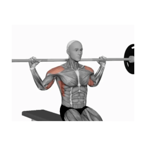 Barbell behind neck military press