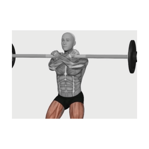 Barbell front squats