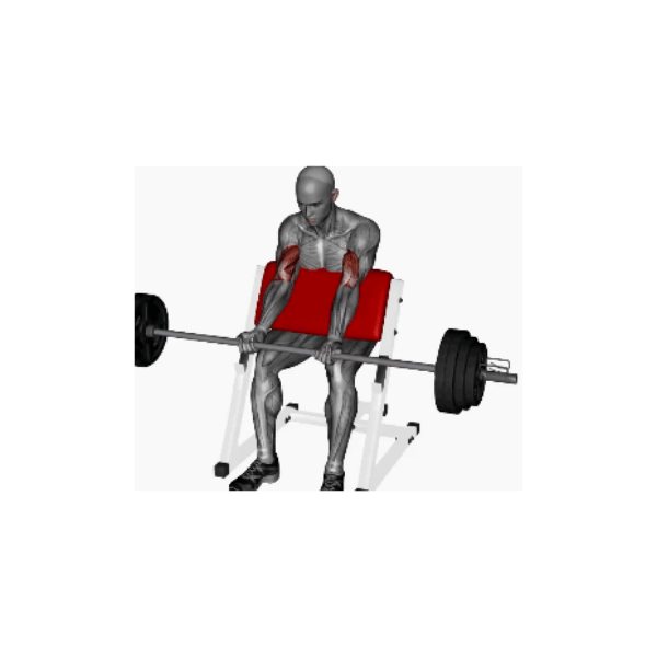 Barbell preacher curl instructions - BP Training and Coaching