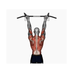 Chin-up reverse wide grip