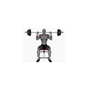Seated barbell military press