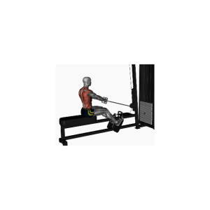 Seated cable row with V-Bar grip