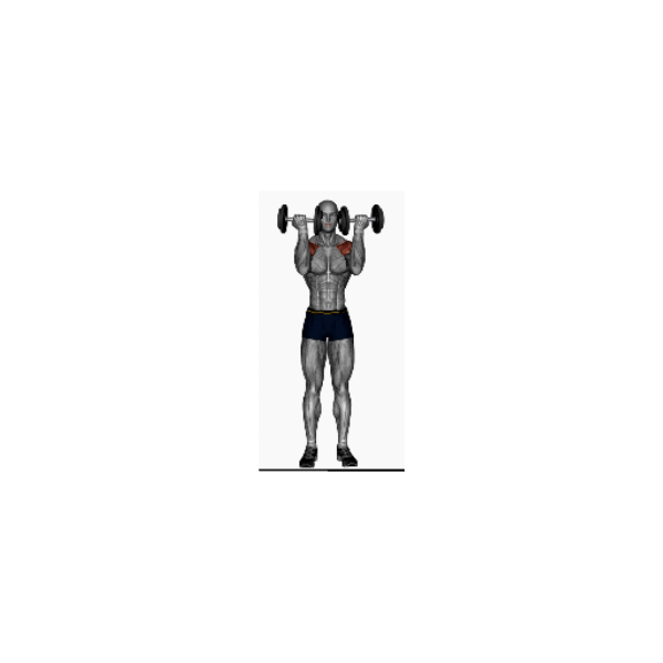Standing Dumbbell Arnold Press - BP Training and Coaching