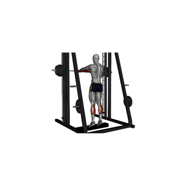 Standing calf raises using a Smith-machine instructions - BP Training ...