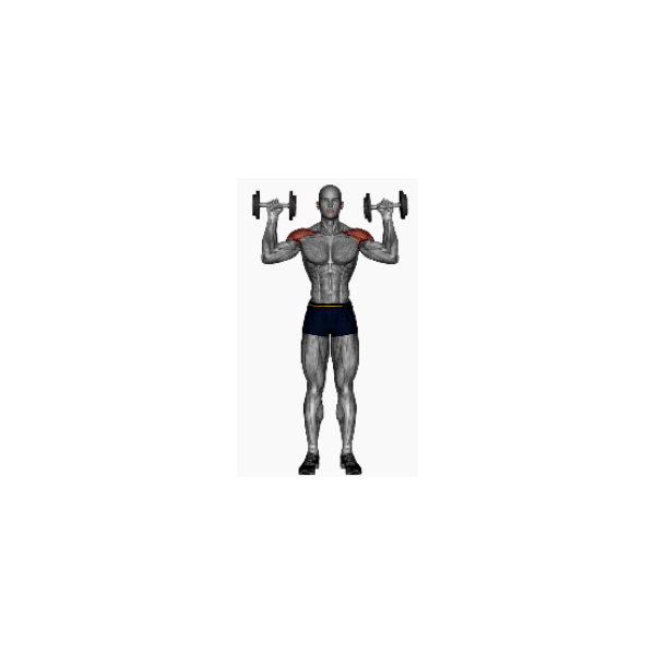 Standing dumbbell shoulder press - BP Training and Coaching