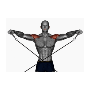 cable lateral raises