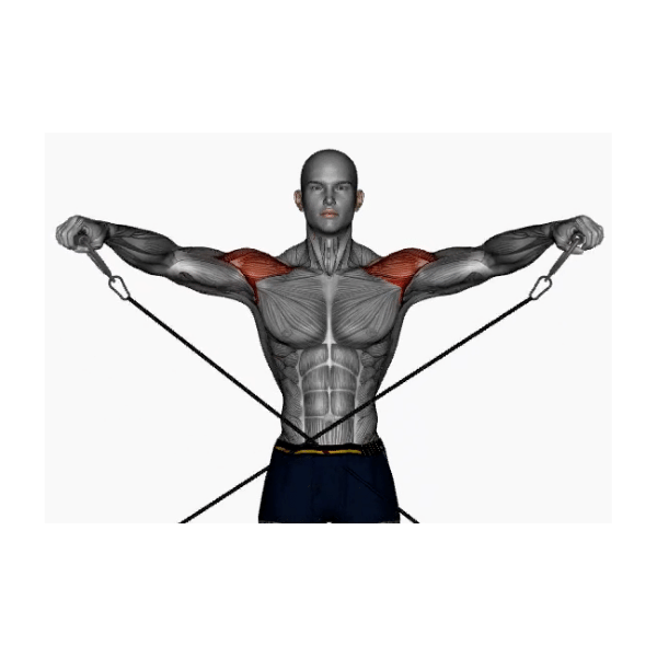Lateral Rases Cable Cable lateral raise instructions - BP Training and Coaching