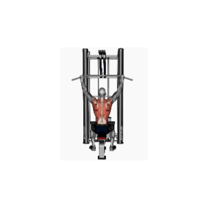 normal grip lat pull down